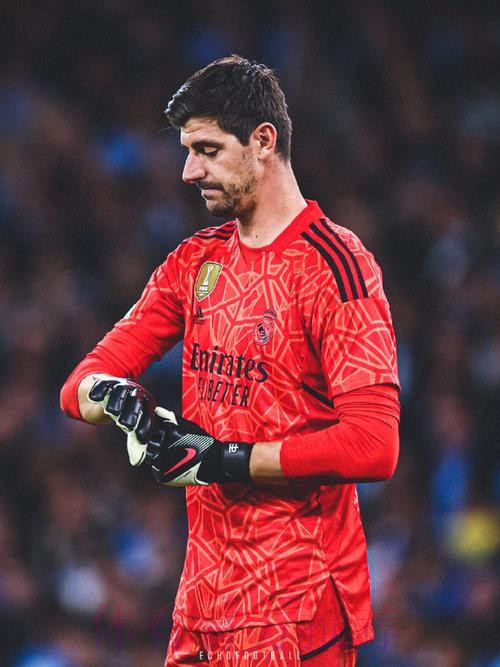 库尔图瓦:对没能晋级感到痛心 我们会再次回来的