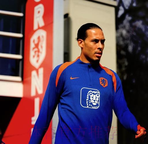 本届世界杯荷兰德布劳内阵容解析完整指南