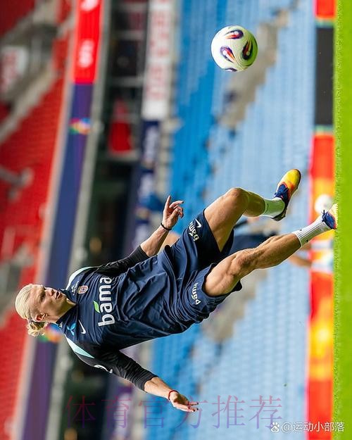 本届世界杯荷兰哈兰德晋级分析最新更新